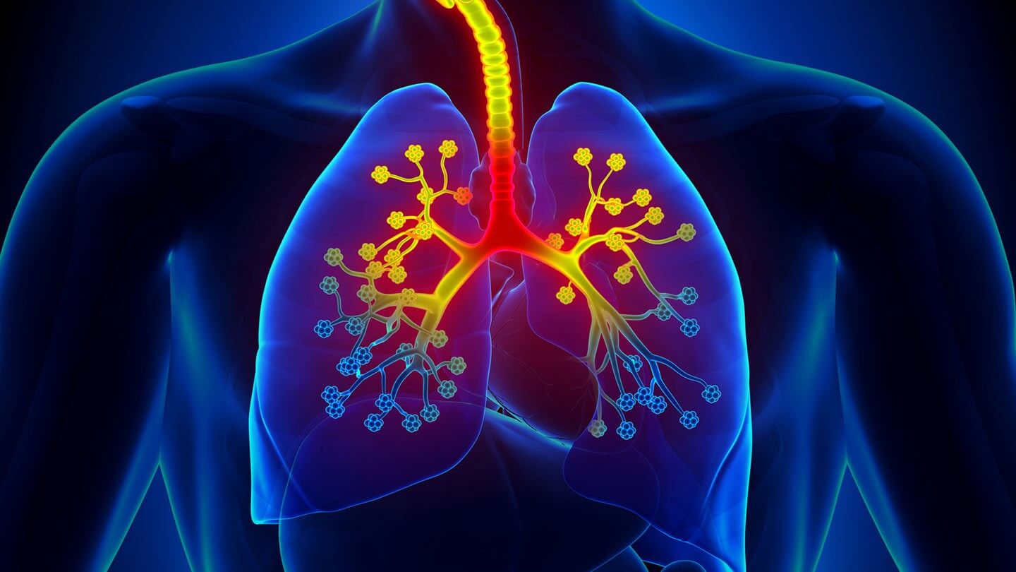Astma. Leczenie i zapobieganie. Dieta, otoczenie i styl życia astmatyka
