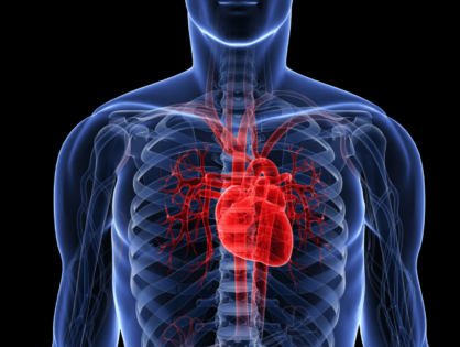 Wzmocnienie serca i układu krążenia. Dieta i zioła na serce oraz prokardiologiczny styl życia. Jak wzmocnić serce? KOMPENDIUM