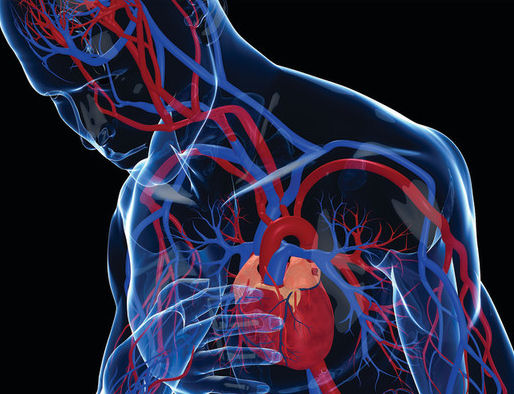 Wzmocnienie serca i układu krążenia