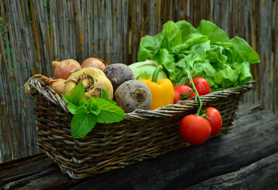Warzywa i zioła